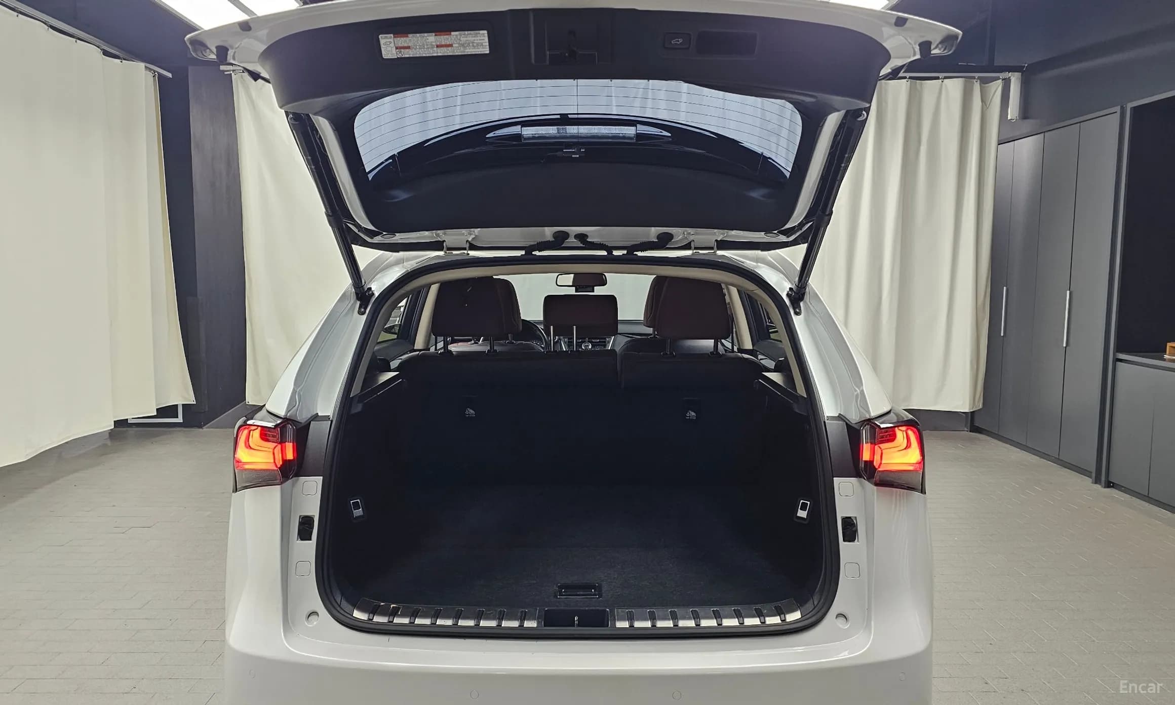 NX300h