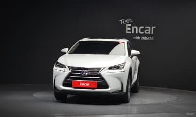 NX300h