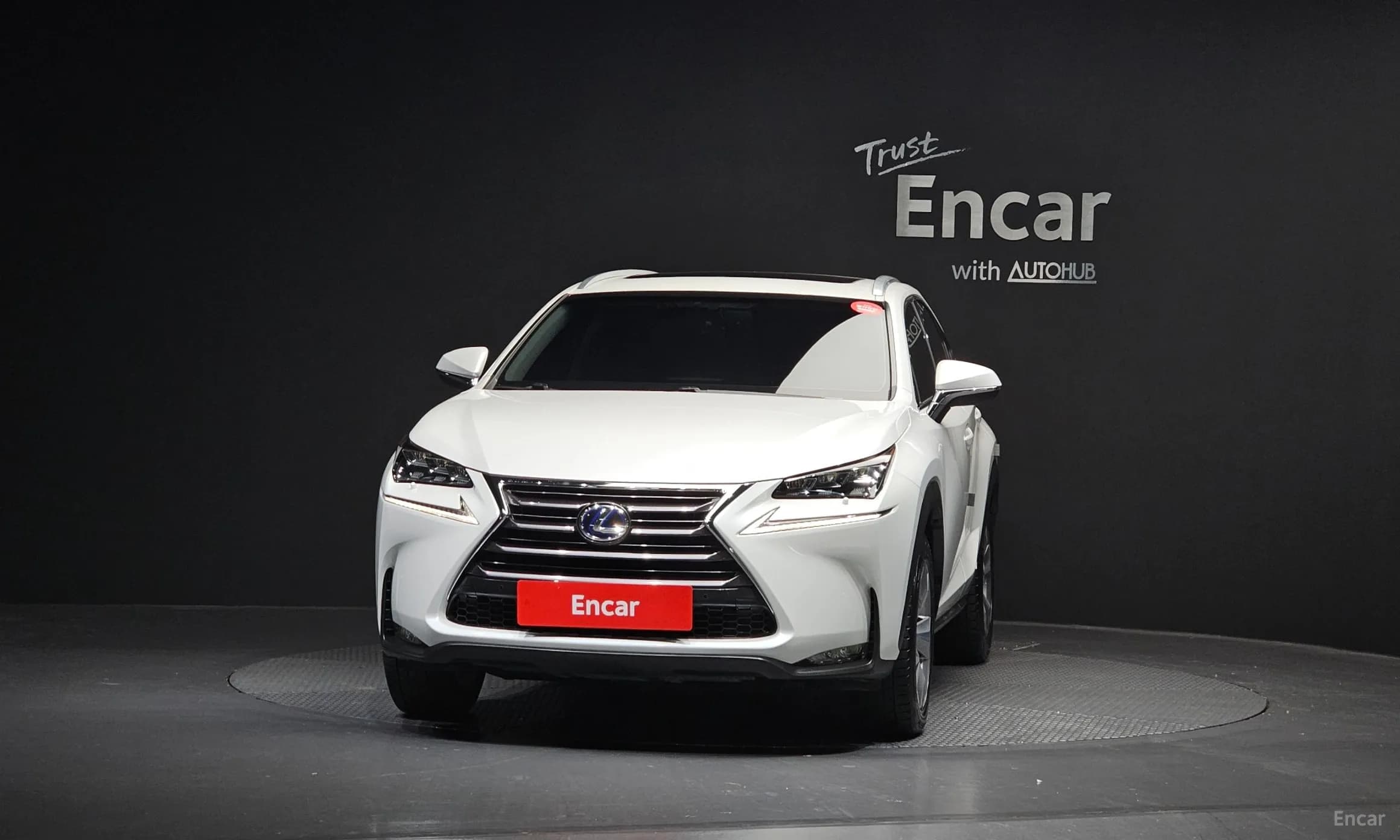 NX300h