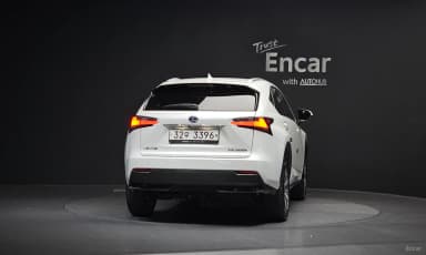 NX300h