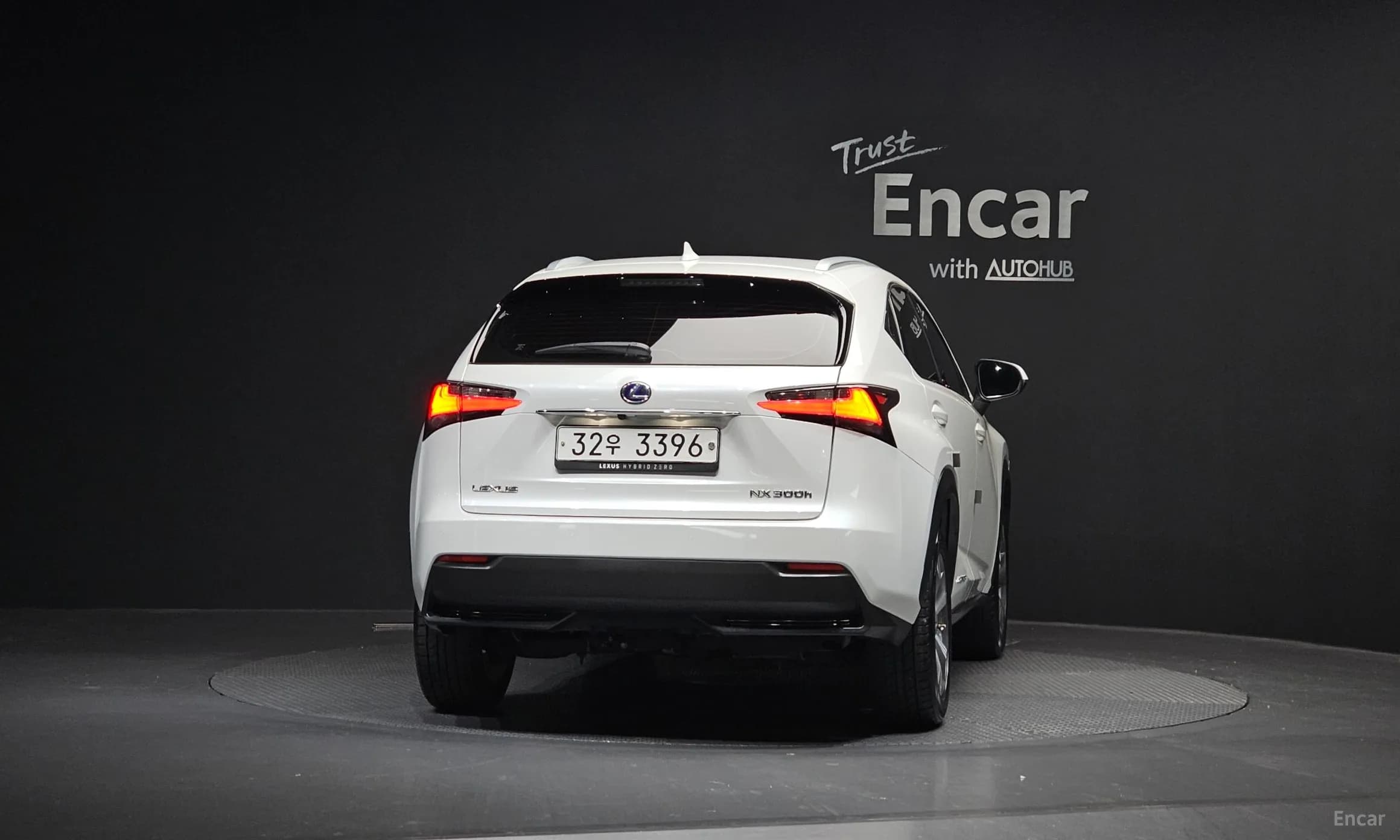 NX300h