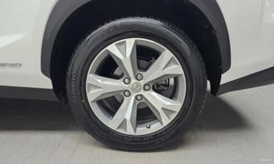 NX300h