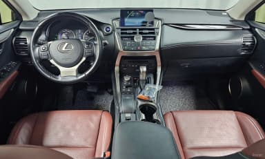 NX300h