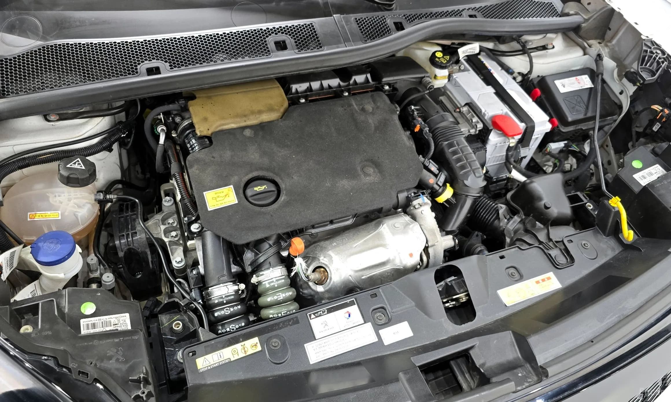 2008 Second Generation