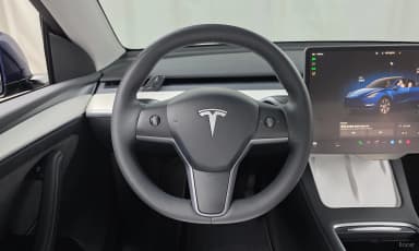 Model Y