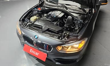 1 Series (F20)