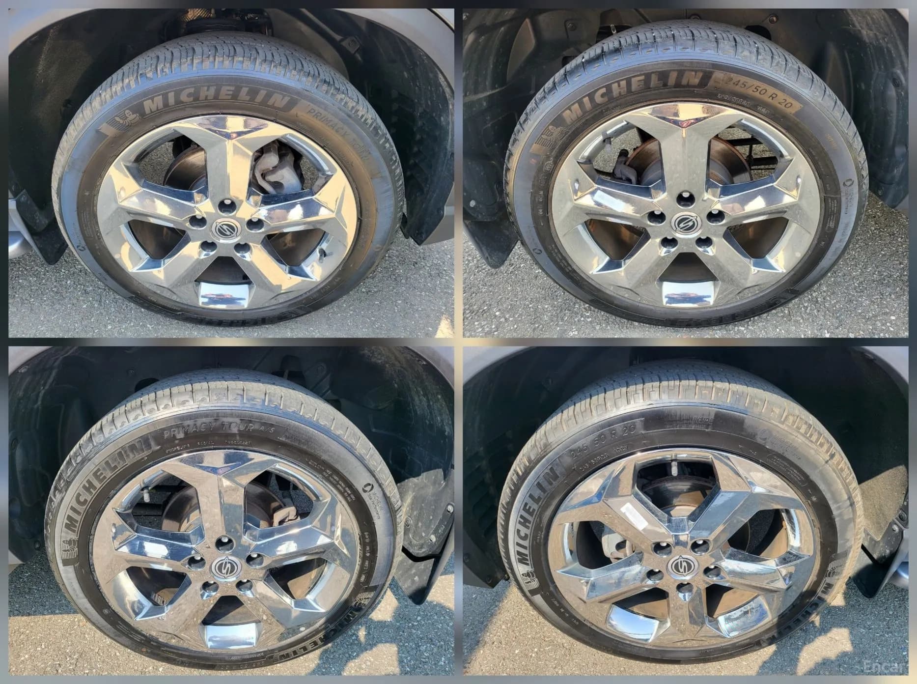 Rexton Sports