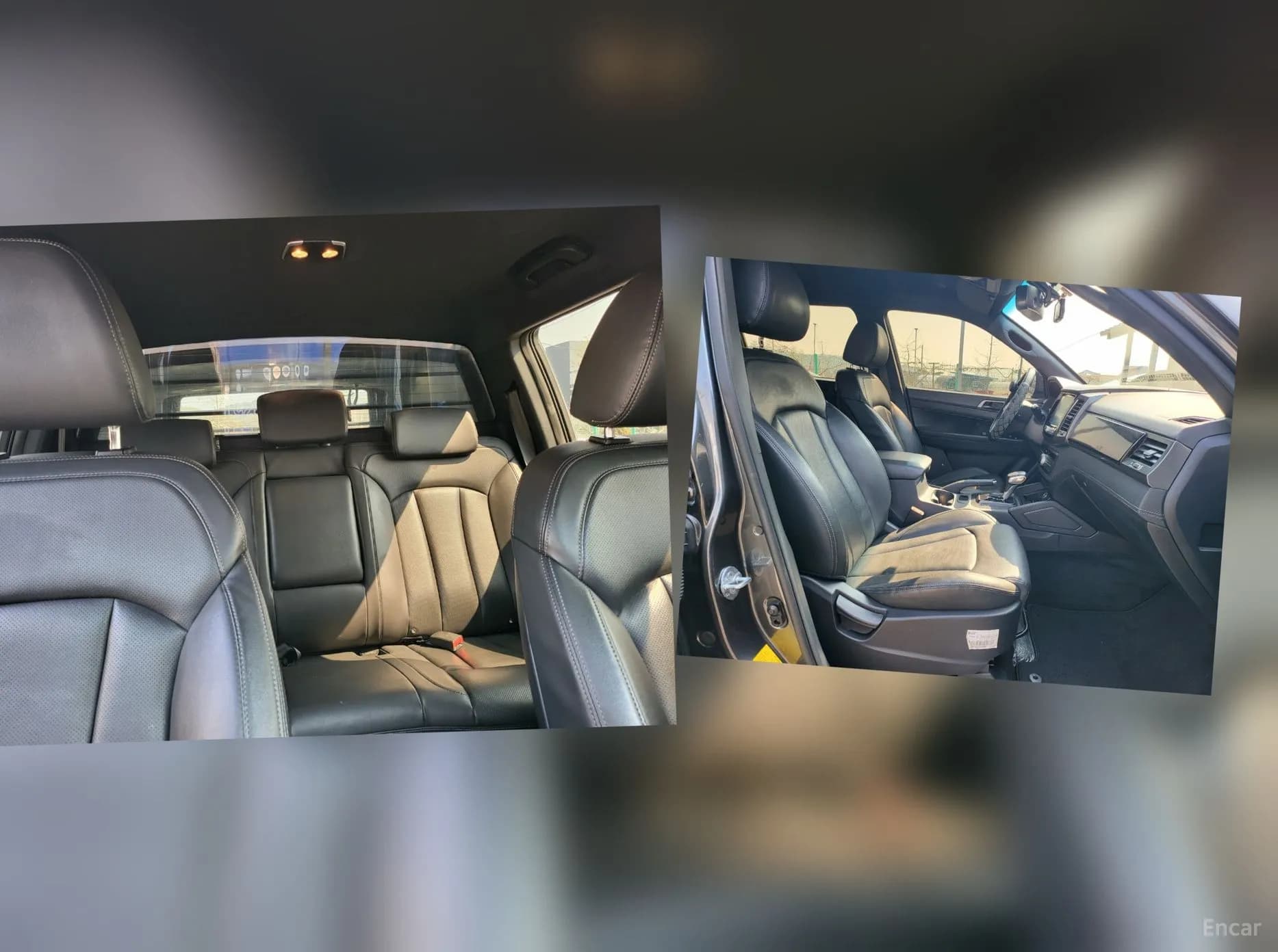 Rexton Sports