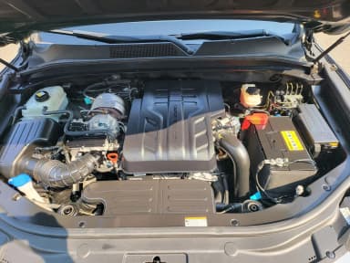Rexton Sports