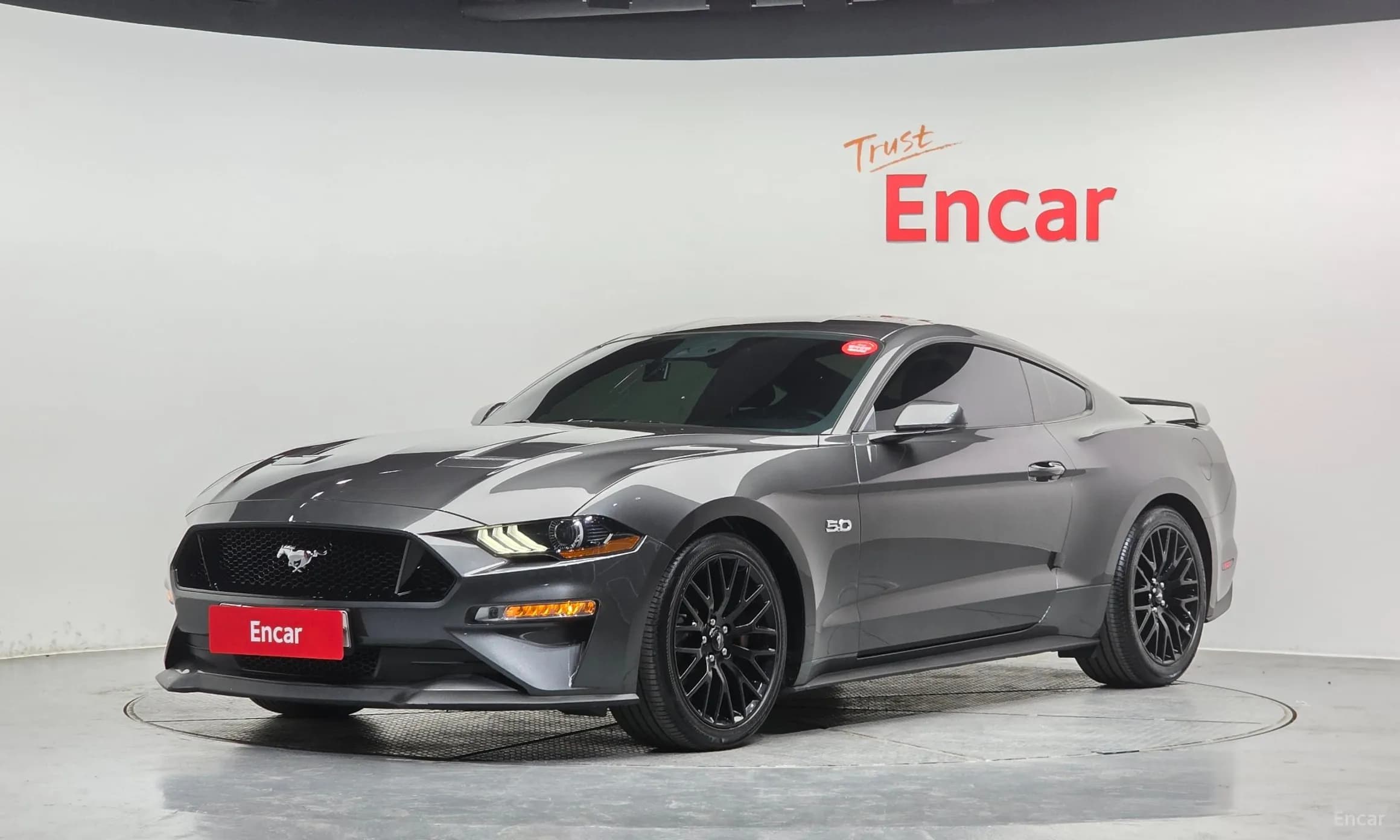 Mustang