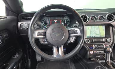 Mustang
