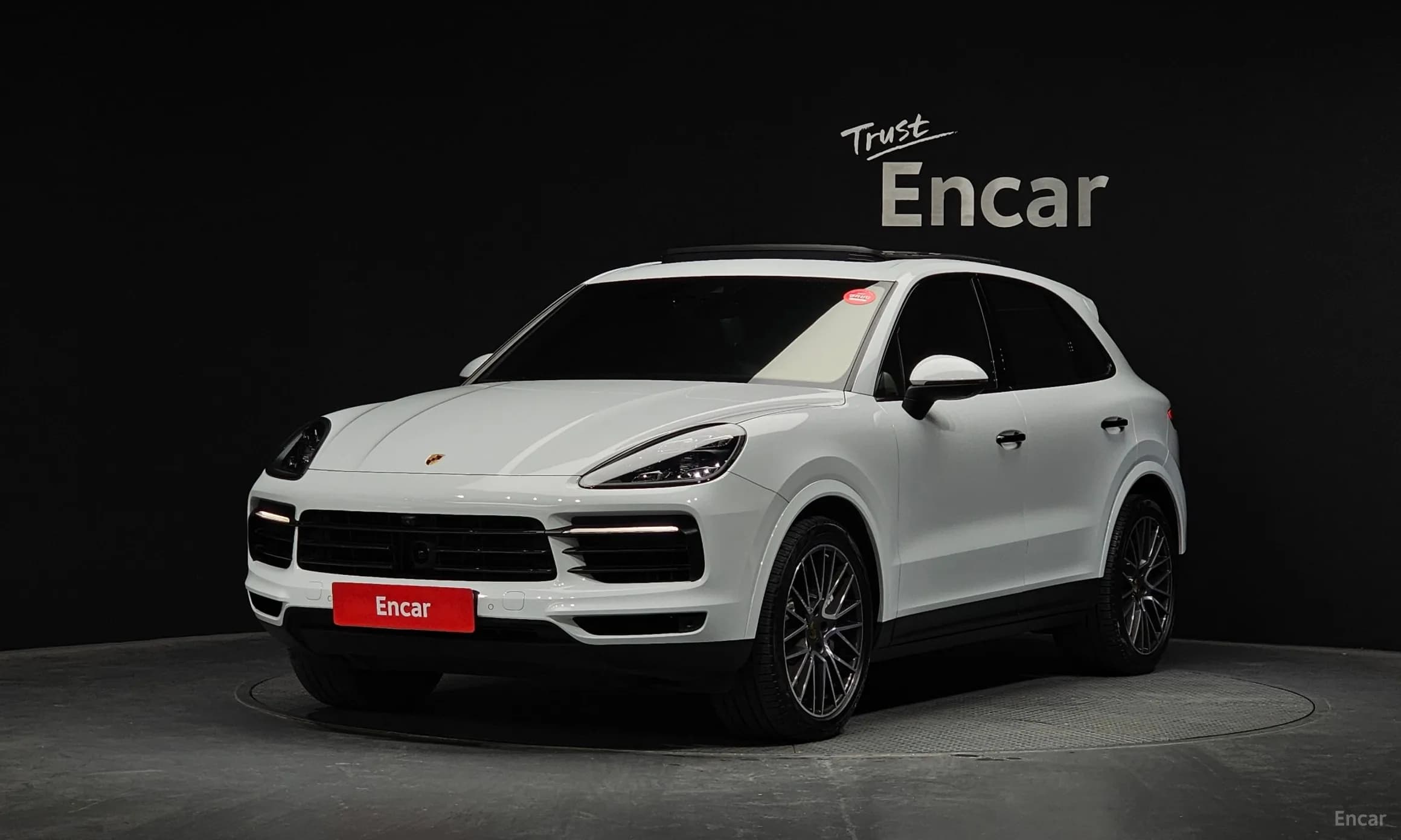 Cayenne (PO536)