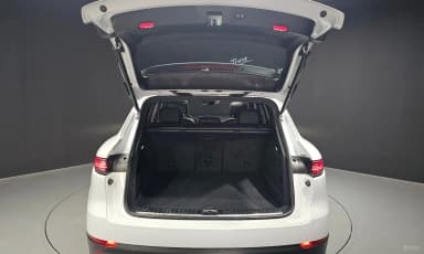 Cayenne (PO536)
