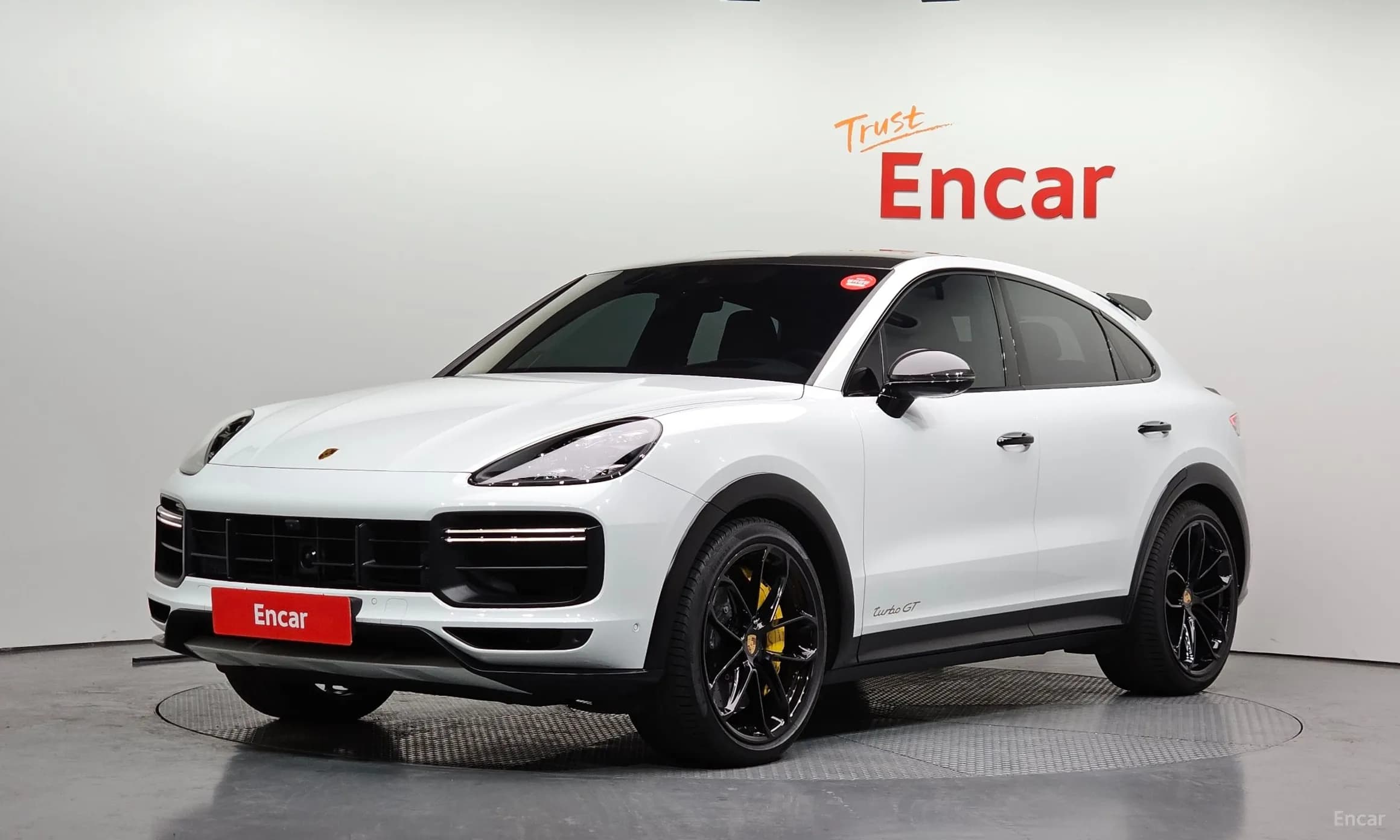 Cayenne (PO536)