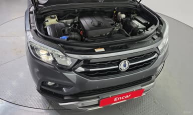 Rexton Sports