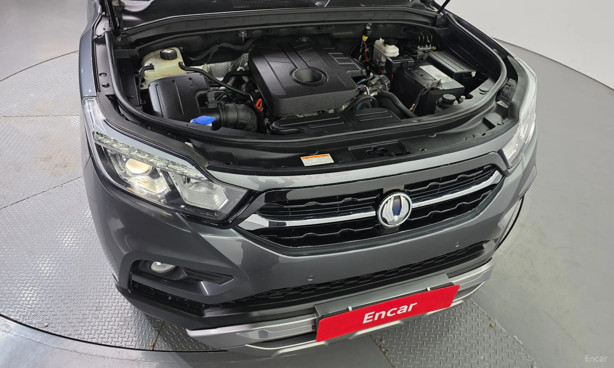 Rexton Sports