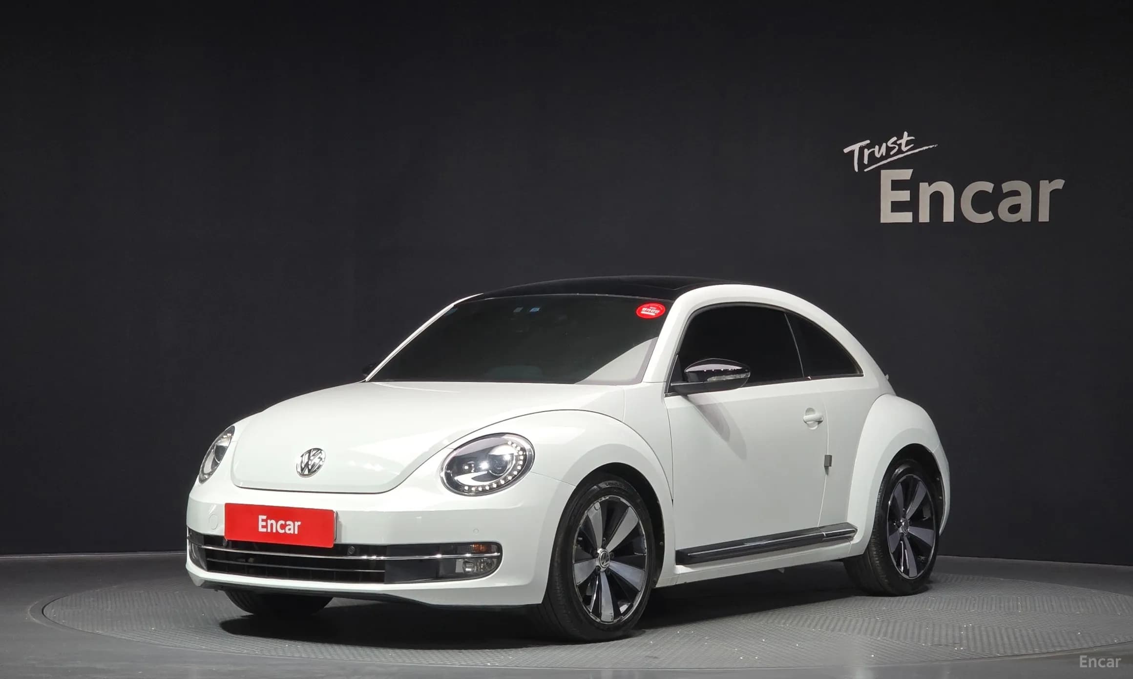 The Beetle