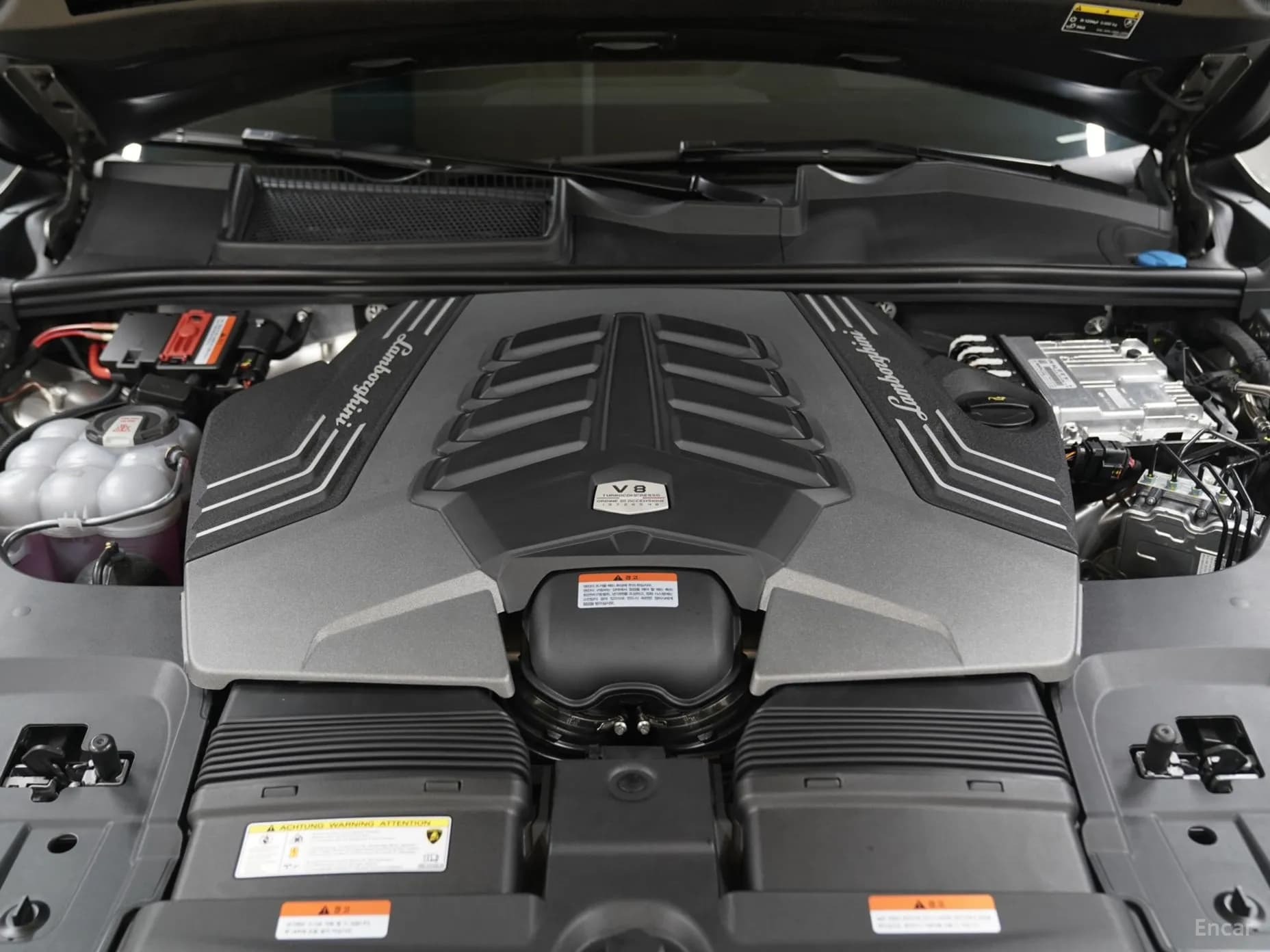 Urus