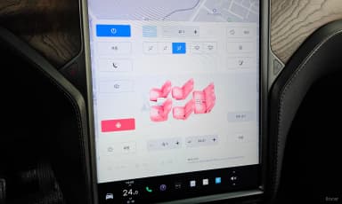 Model X