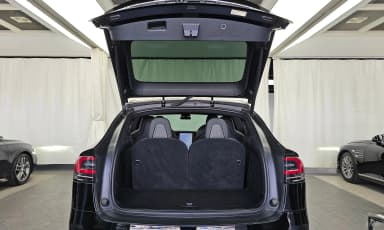 Model X
