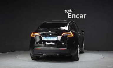 Model Y