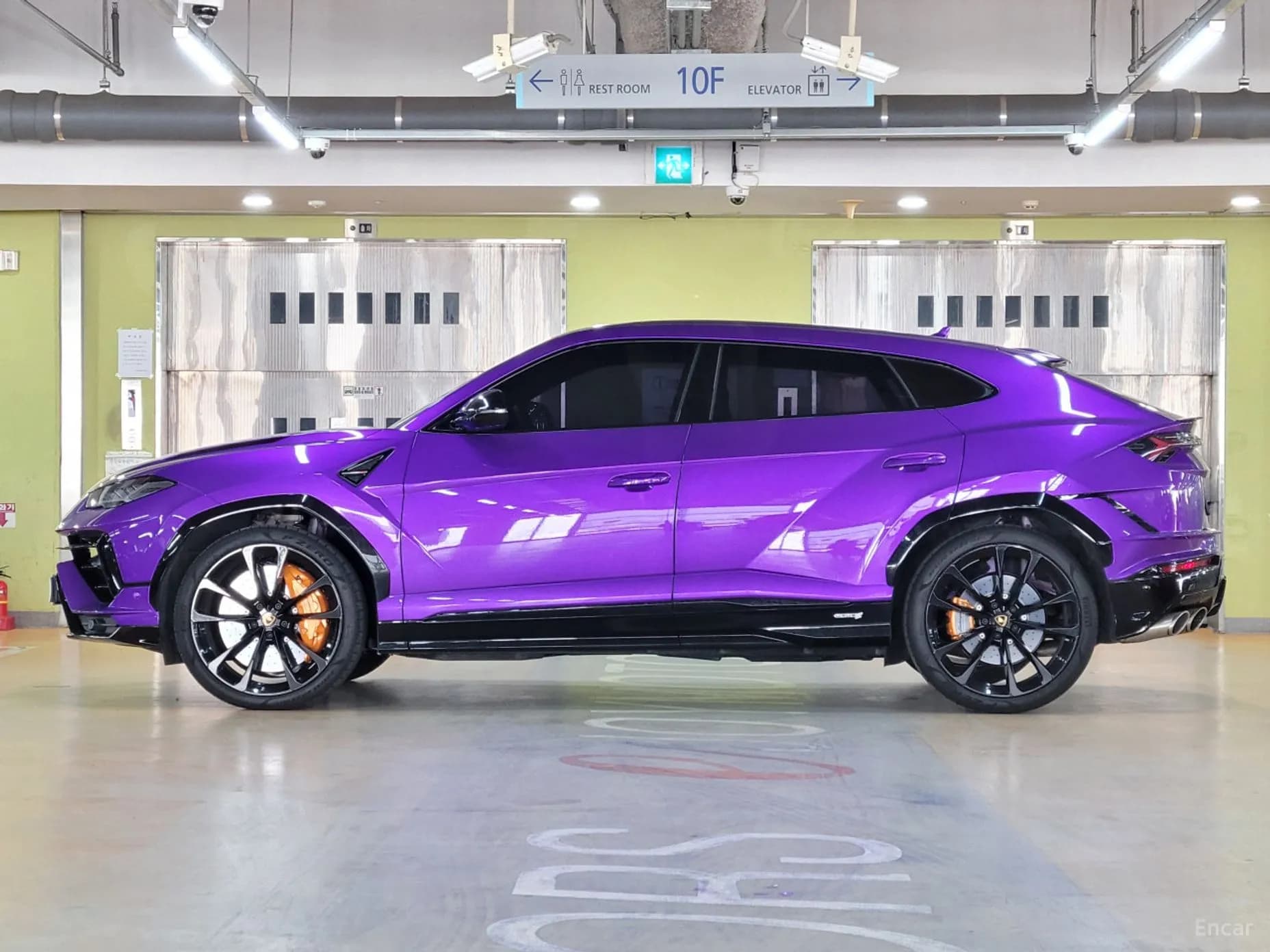 Urus