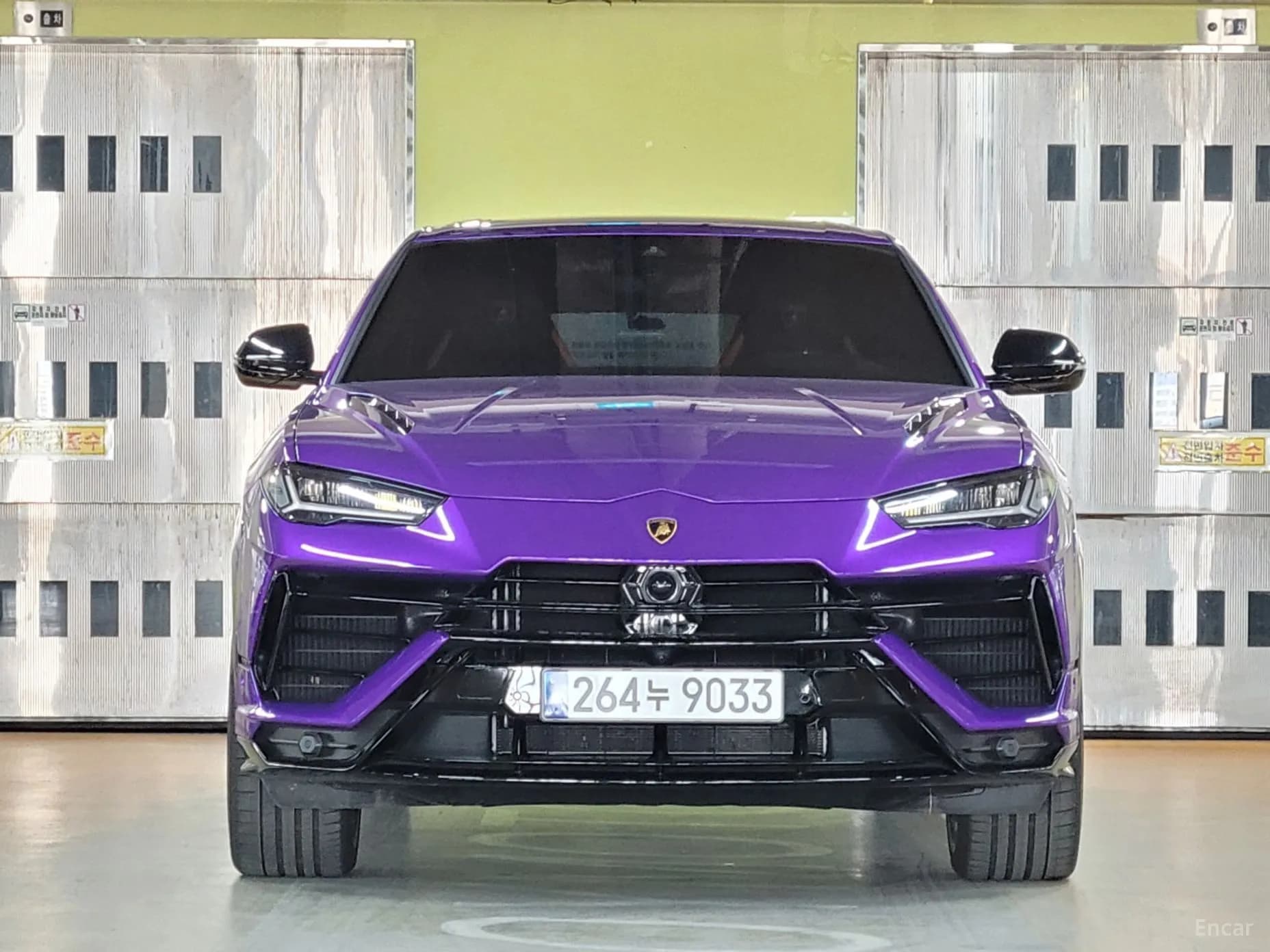 Urus