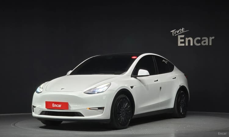 Model Y