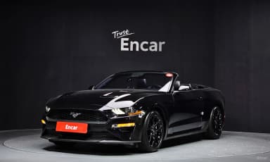 Mustang