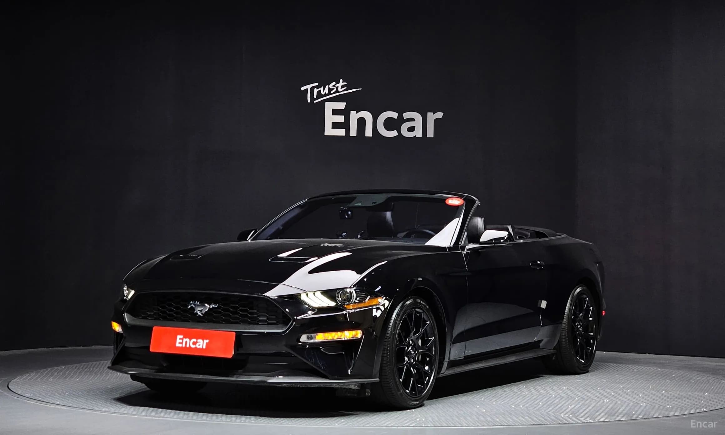 Mustang