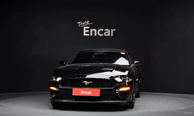 Mustang