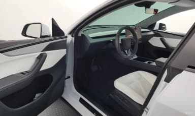 Model Y