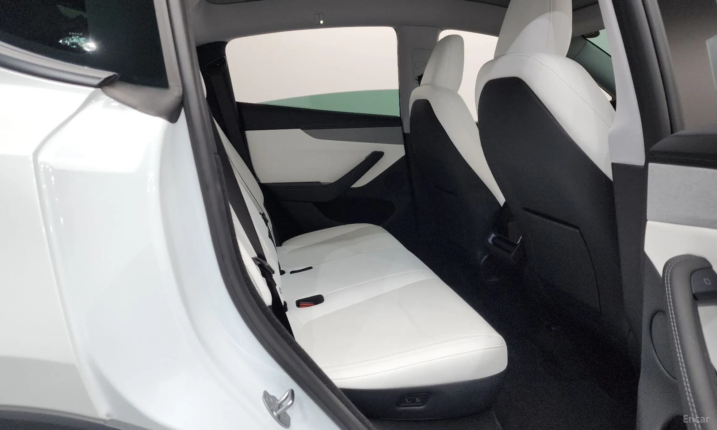 Model Y