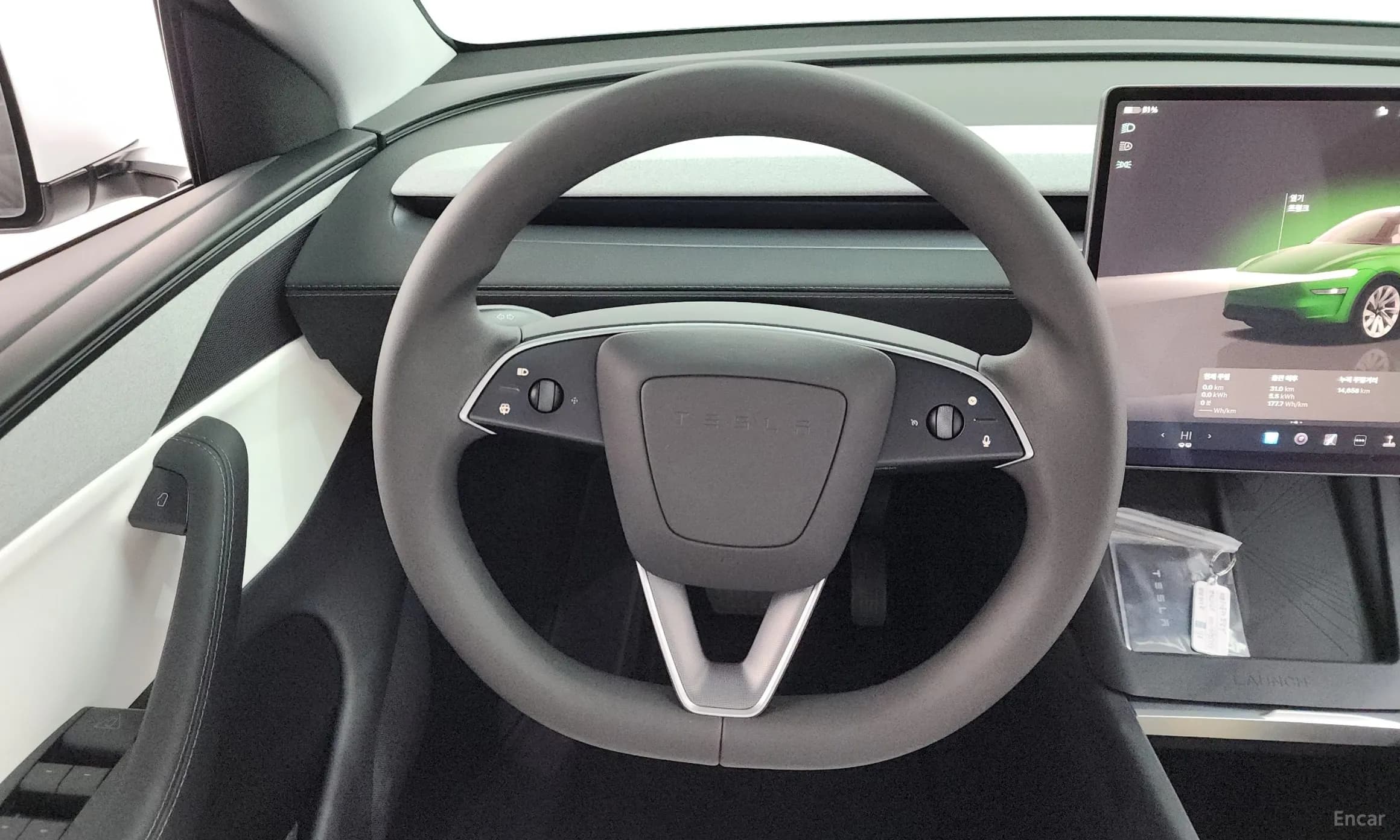 Model Y