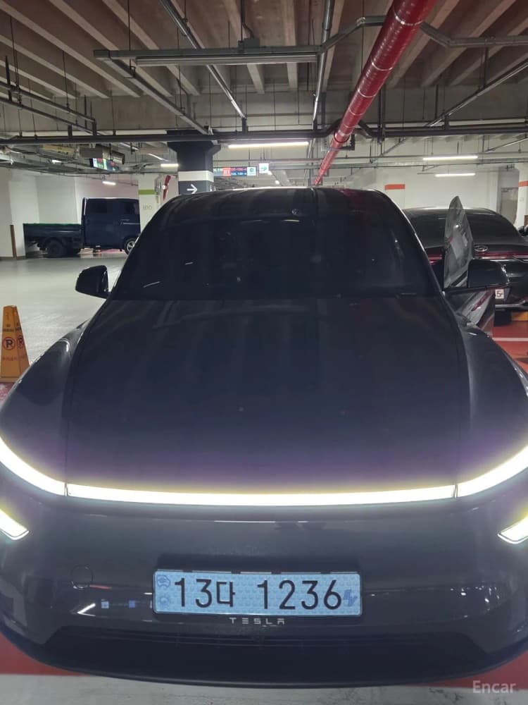 Model Y