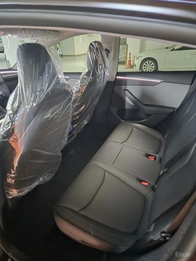 Model Y
