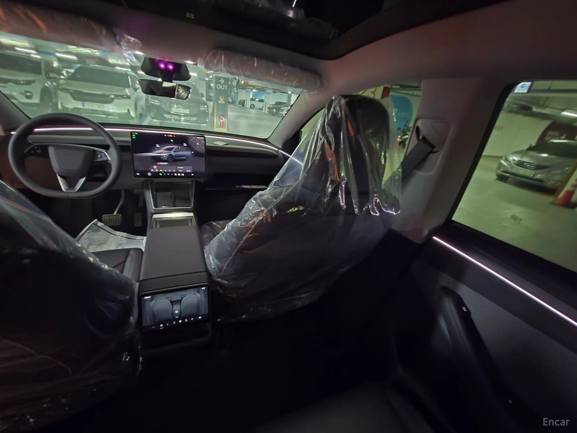 Model Y