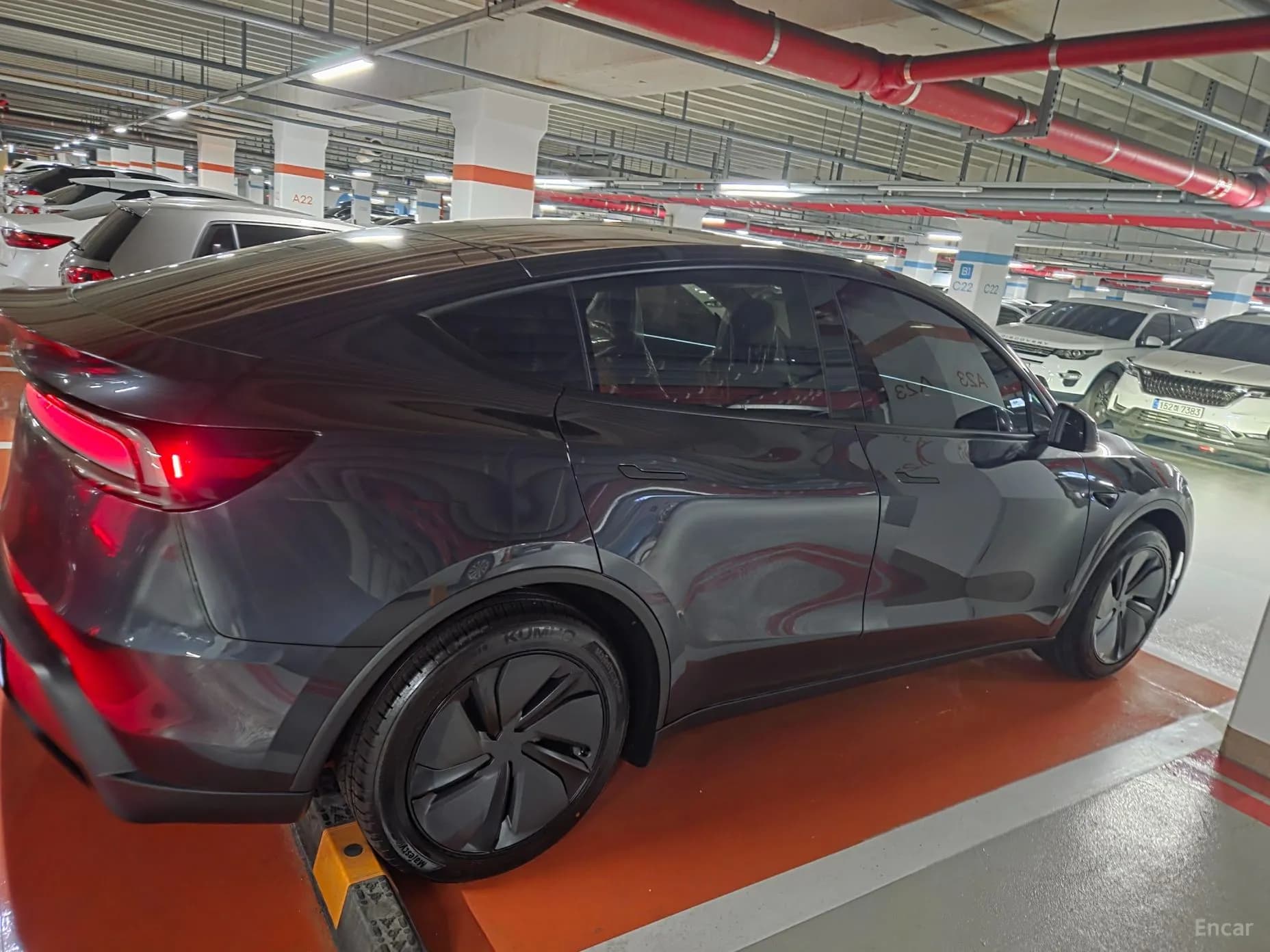 Model Y
