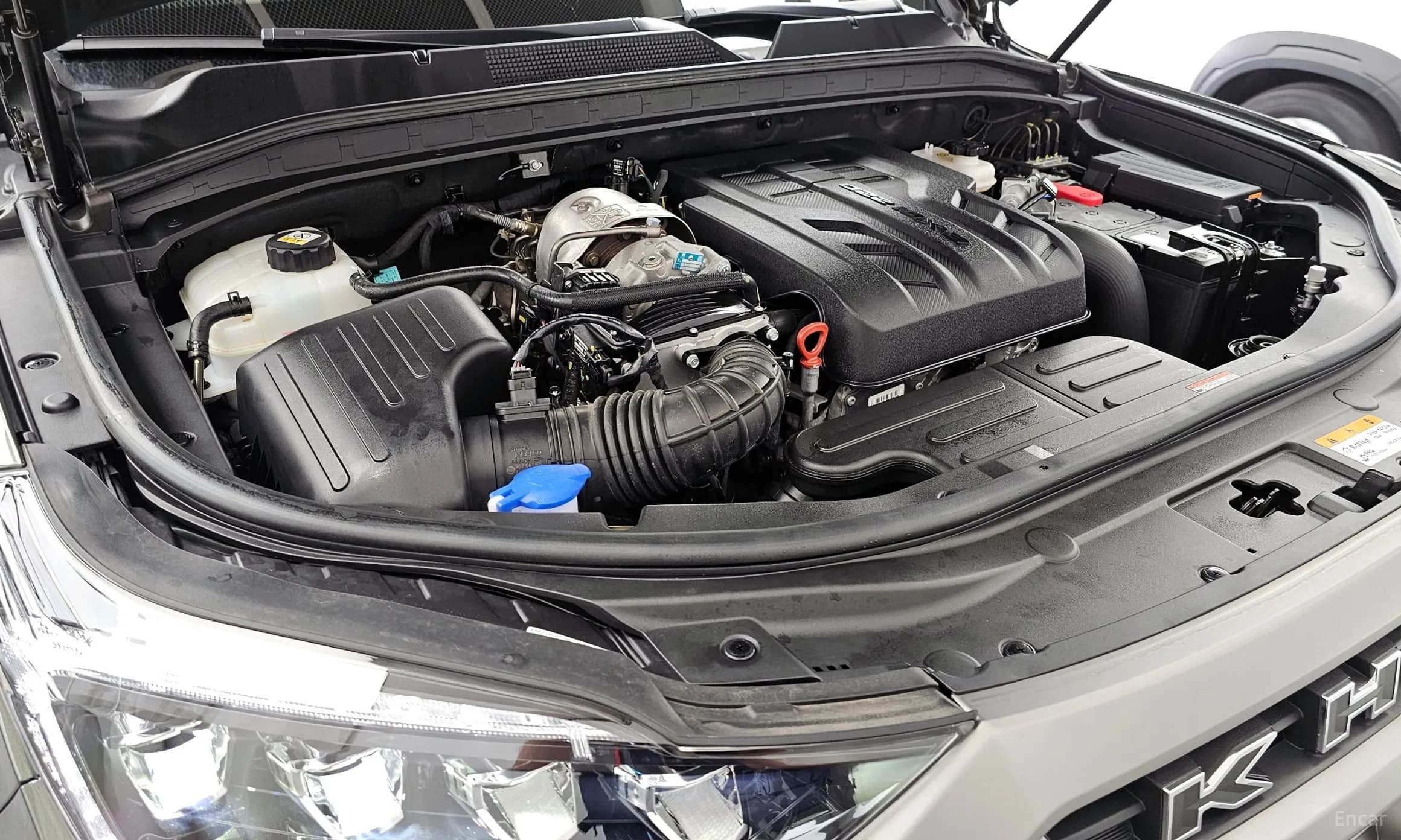 Rexton Sports Khan