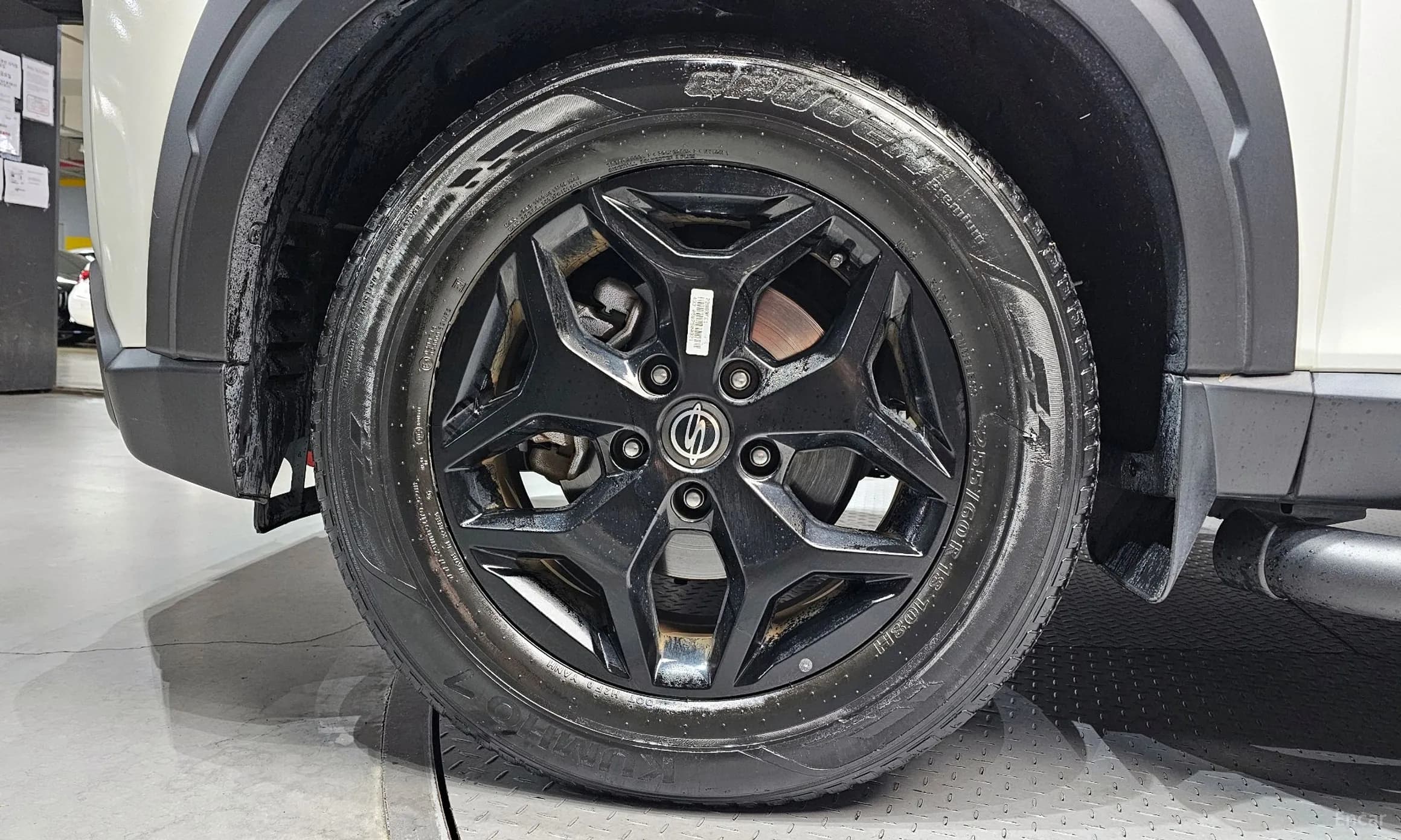 Rexton Sports