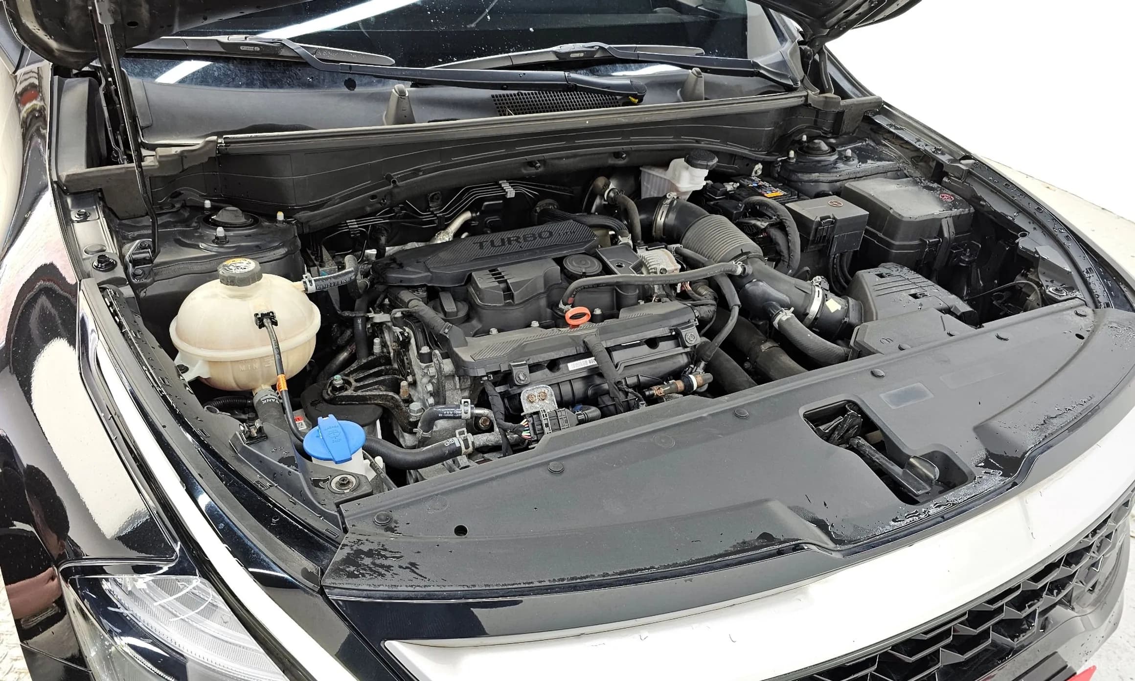 Sportage 5th Generation