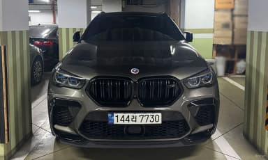 X6M (G06)