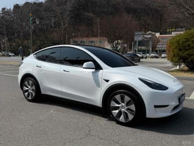 Model Y