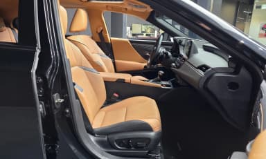 ES300h 7th Generation