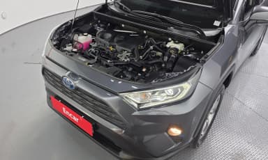RAV4 5th Generation