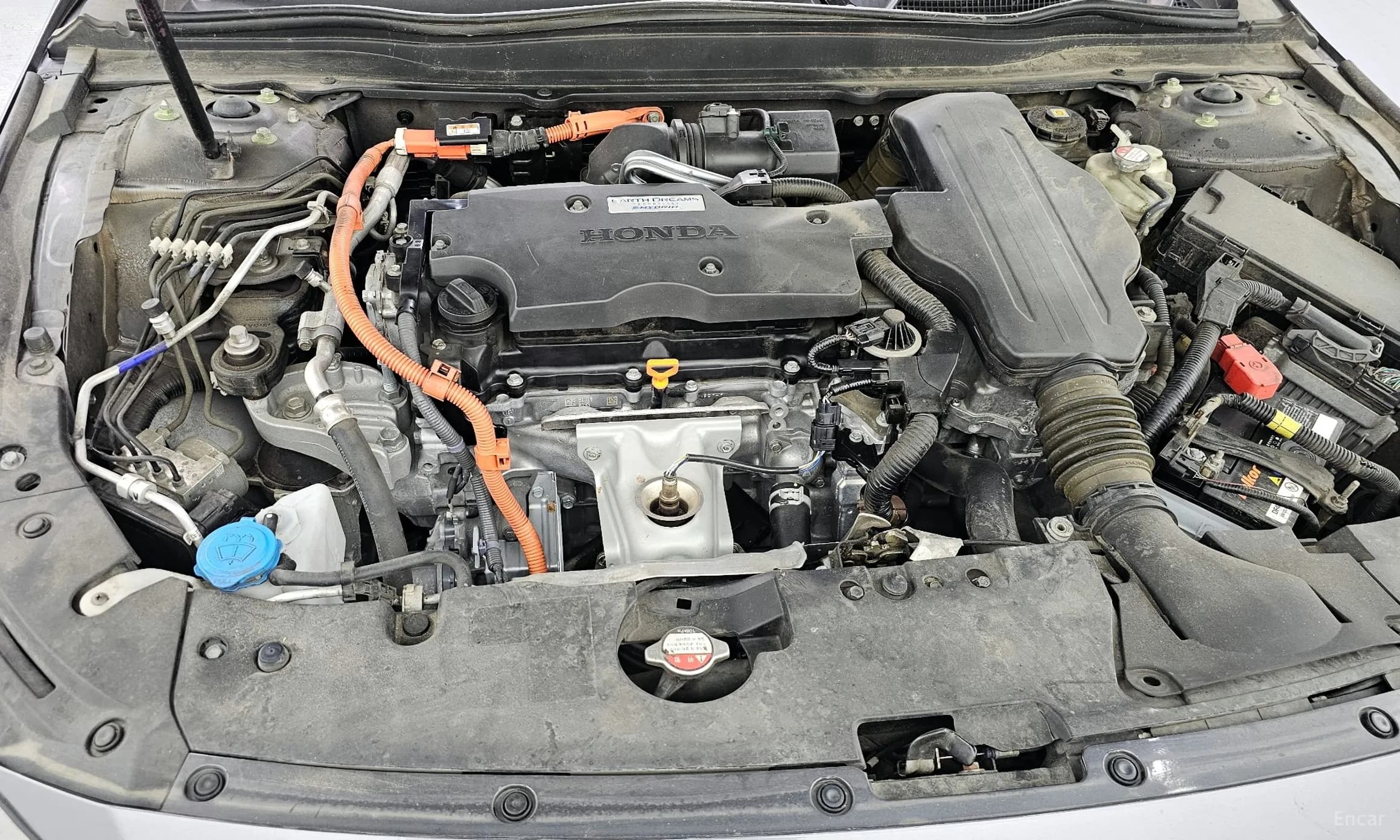 Accord 10th Generation