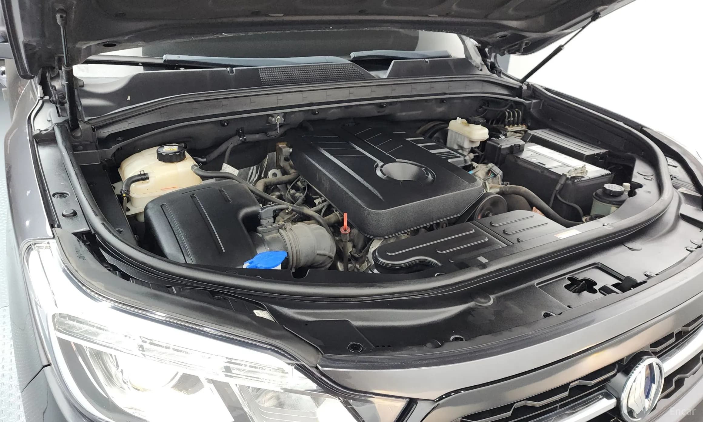 Rexton Sports