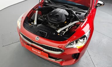 Stinger