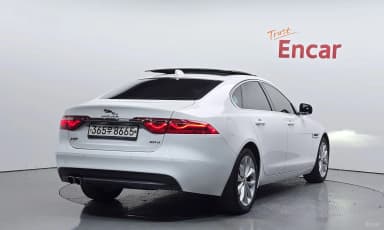 XF (x260)