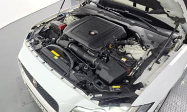 XF (x260)